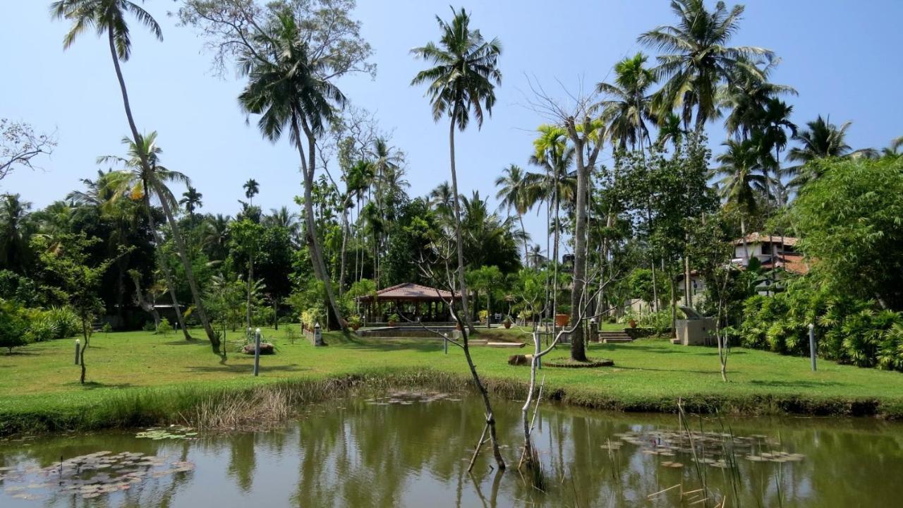 Avalon Village Resort Induruwa Exterior photo