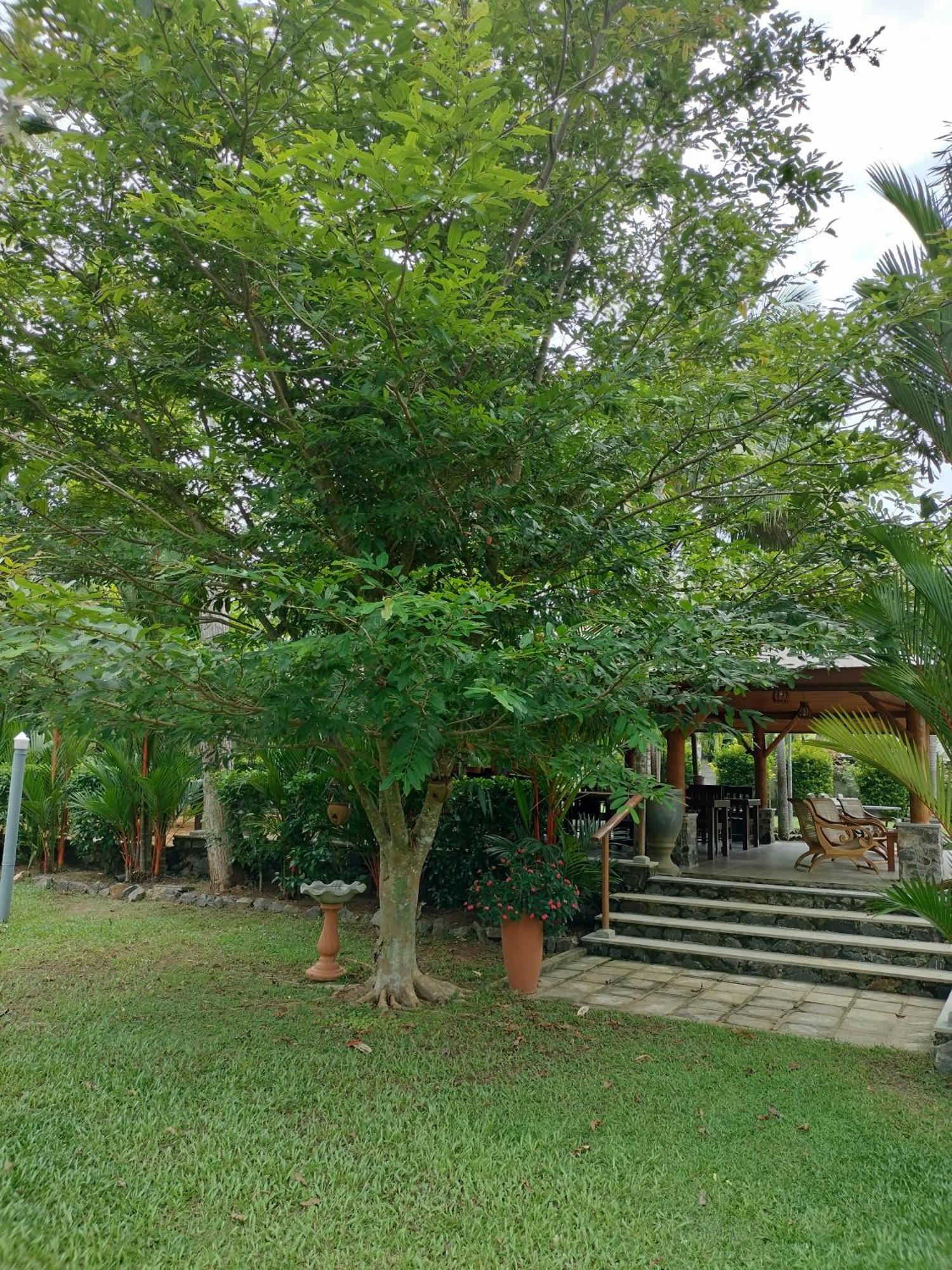 Avalon Village Resort Induruwa Exterior photo