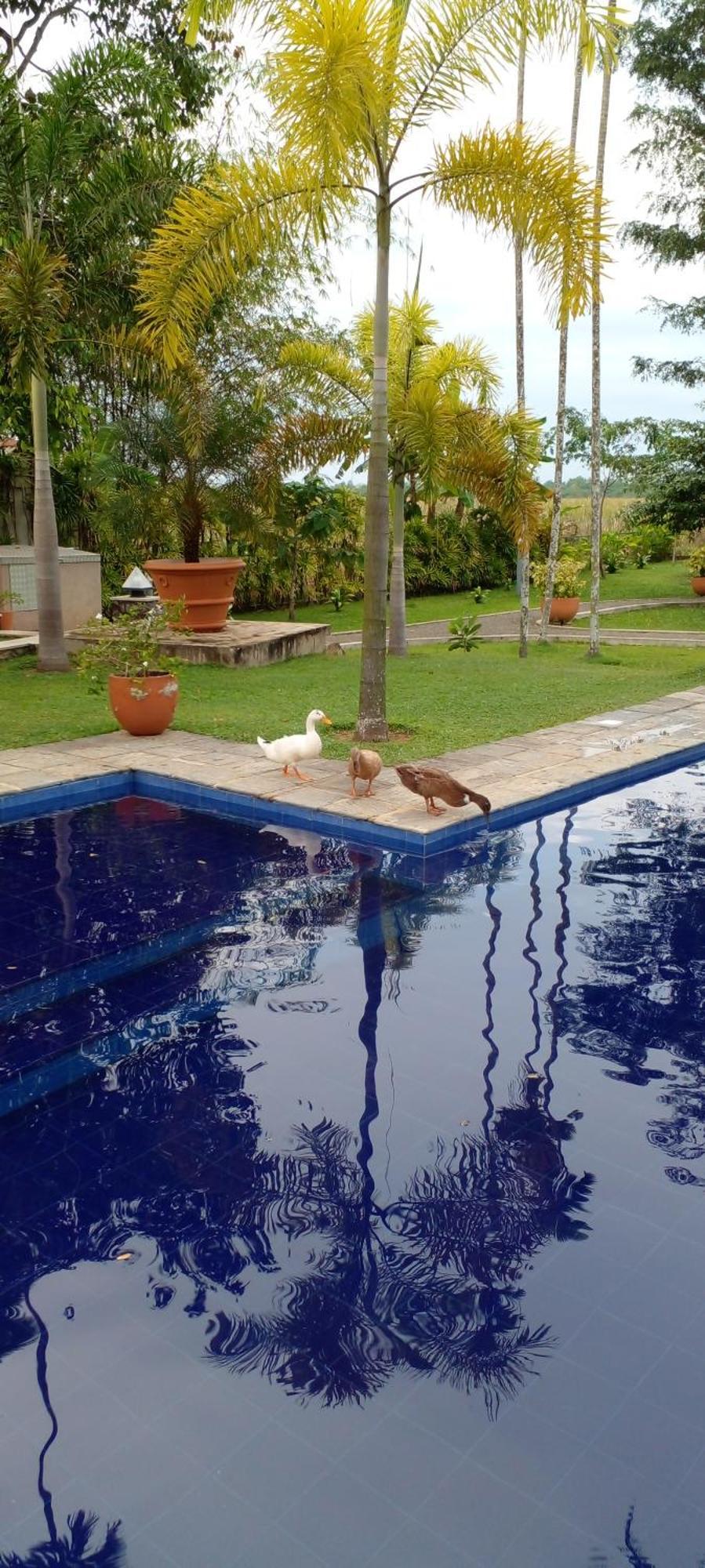 Avalon Village Resort Induruwa Exterior photo