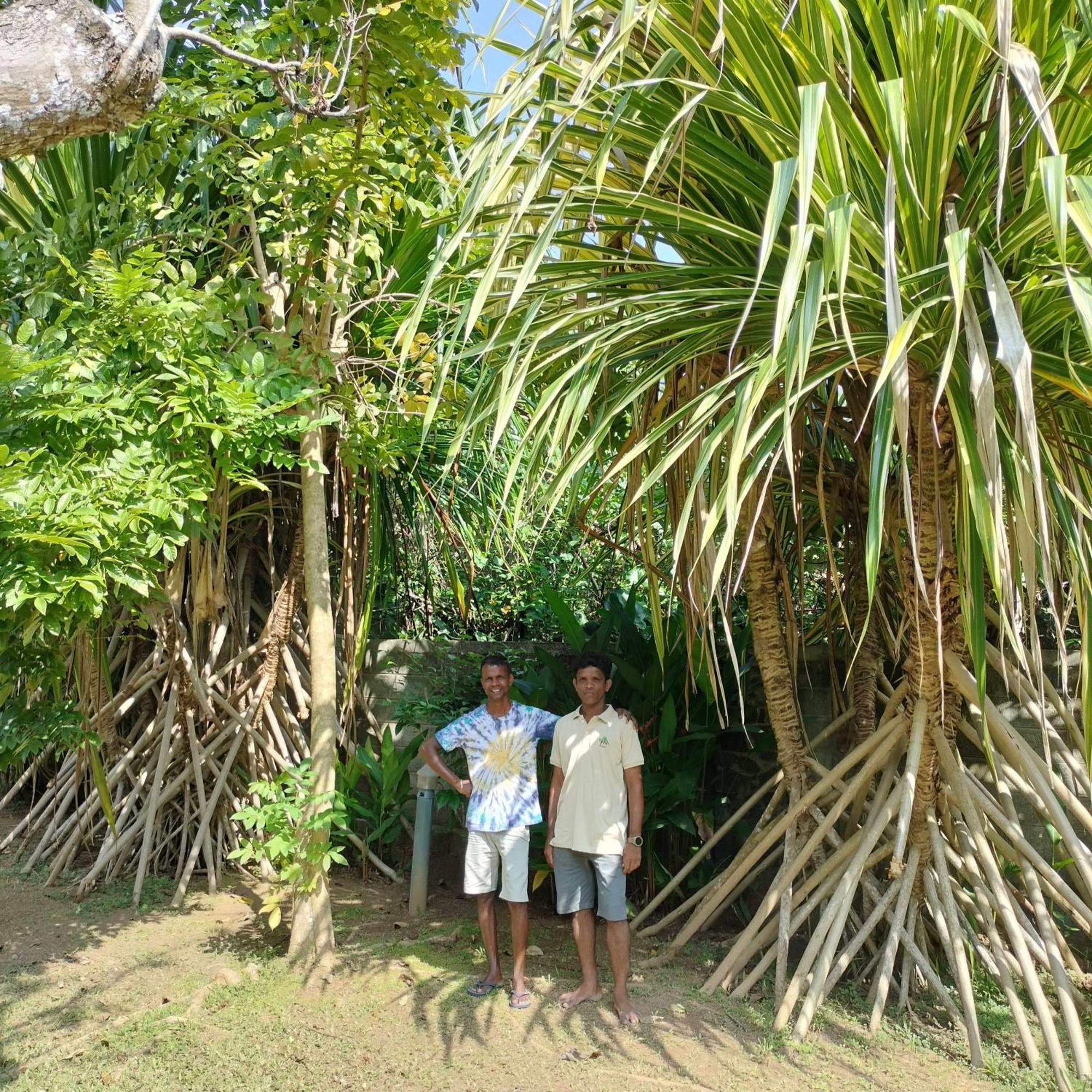 Avalon Village Resort Induruwa Exterior photo