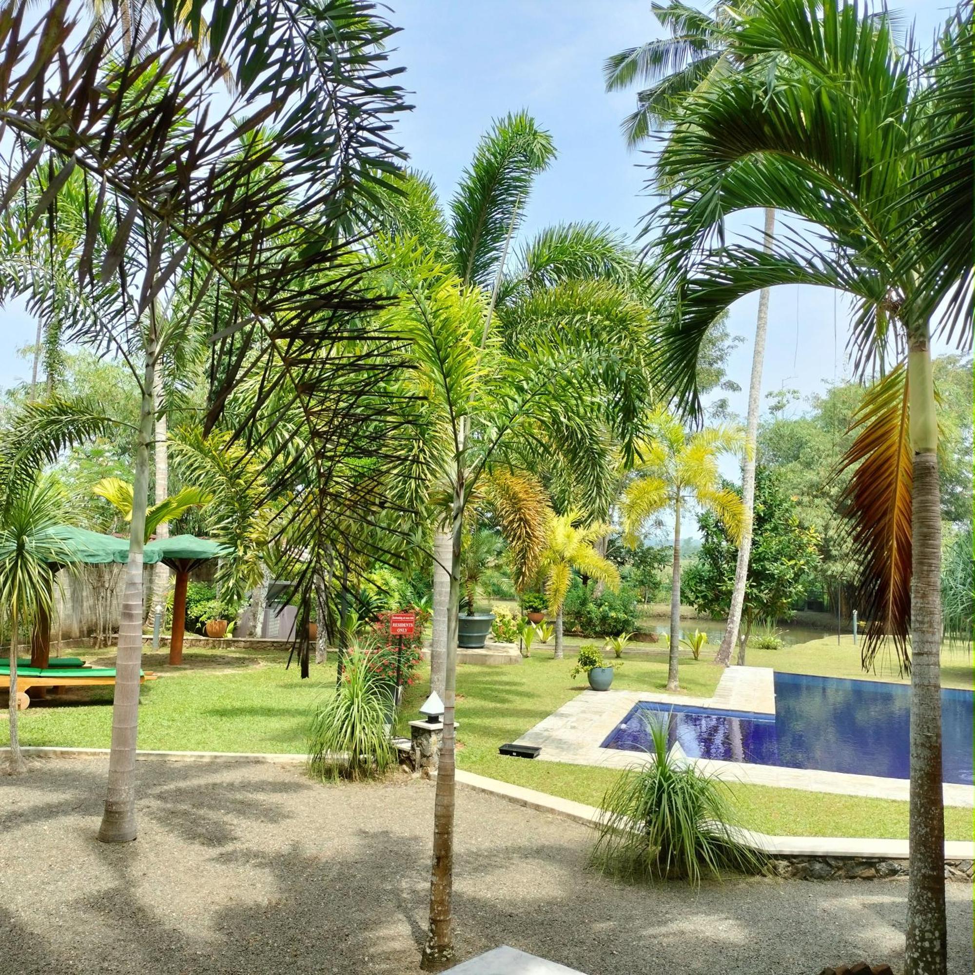 Avalon Village Resort Induruwa Exterior photo