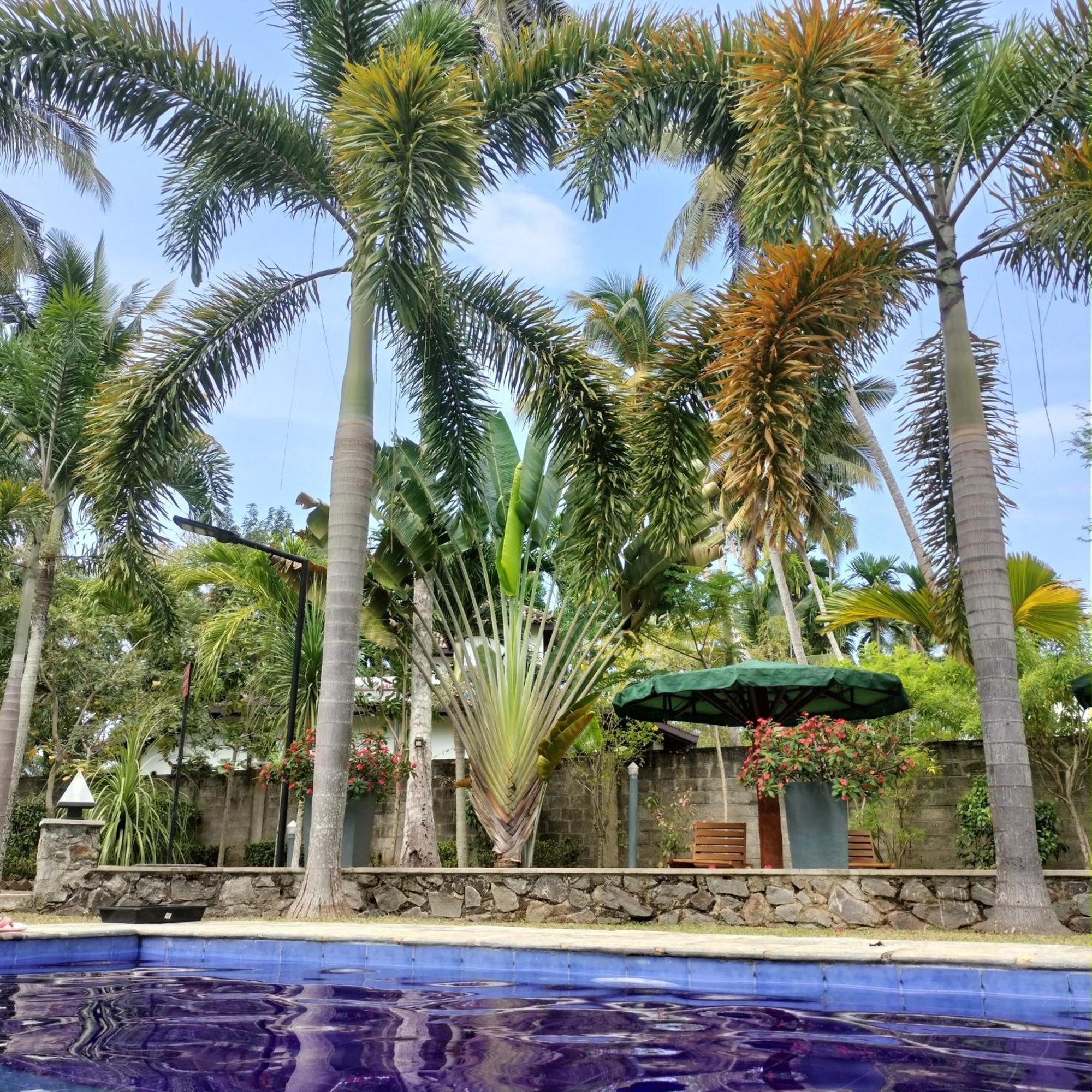 Avalon Village Resort Induruwa Exterior photo