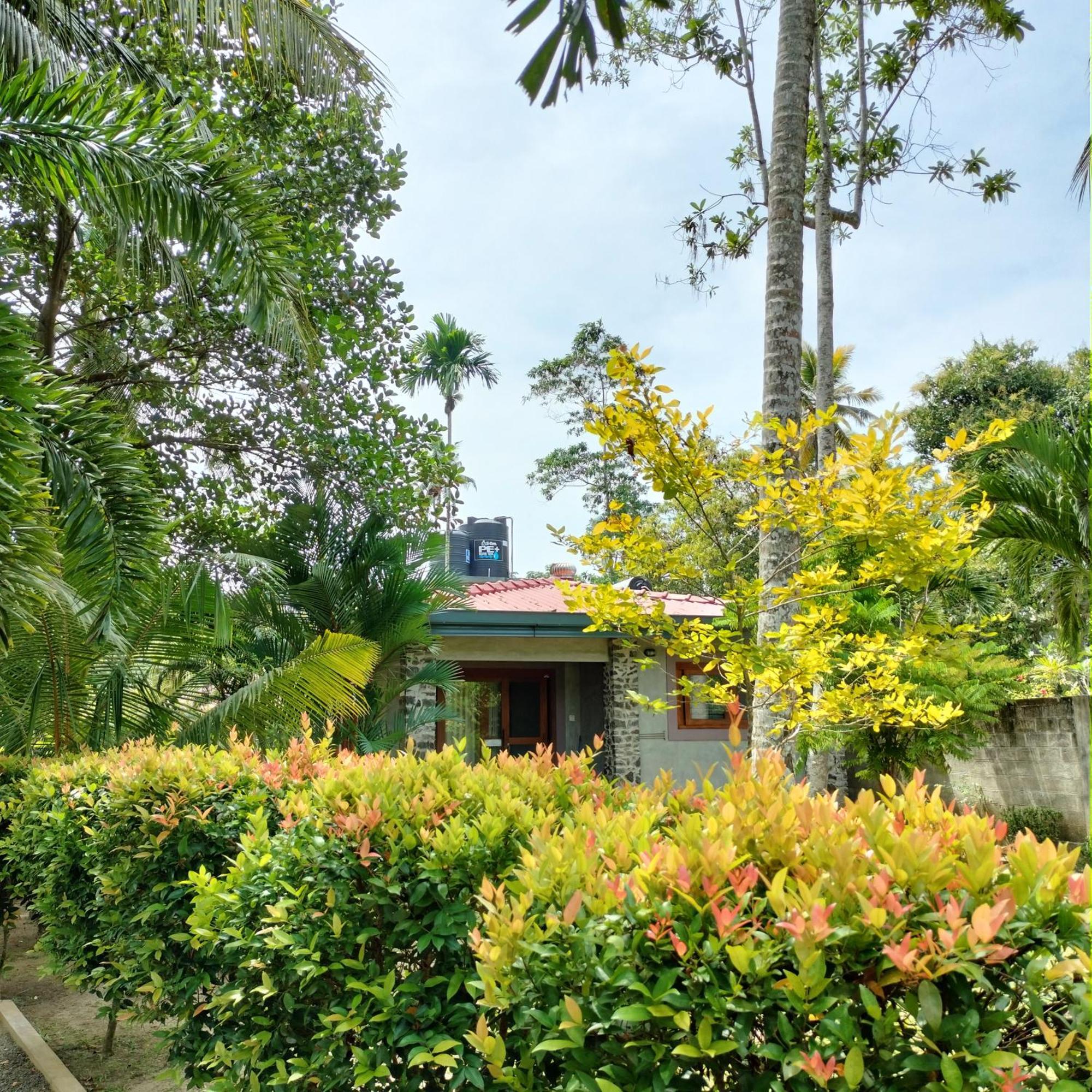 Avalon Village Resort Induruwa Exterior photo