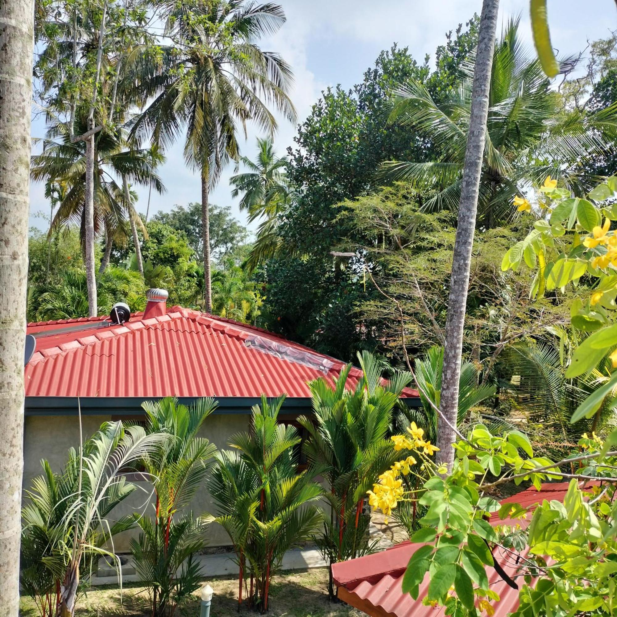 Avalon Village Resort Induruwa Exterior photo