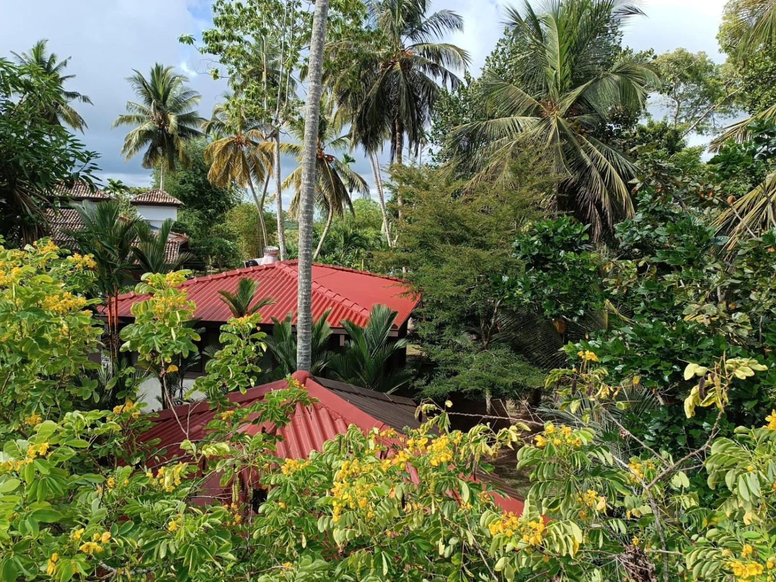 Avalon Village Resort Induruwa Exterior photo